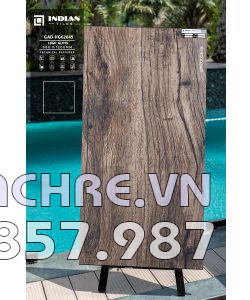 Gạch vân gỗ 60x120 lát nền cao cấp