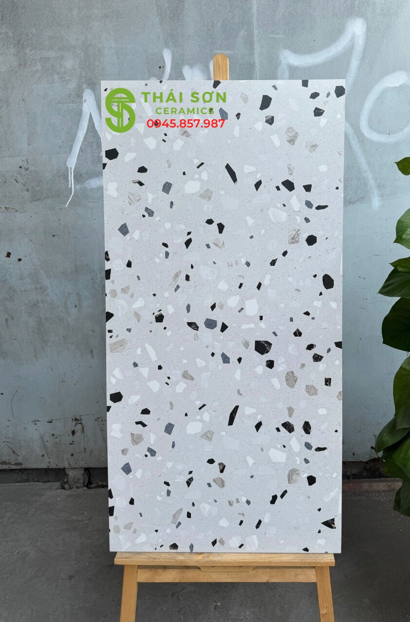 Gạch ốp lát matt mờ terrazzo 60x120 ấn độ