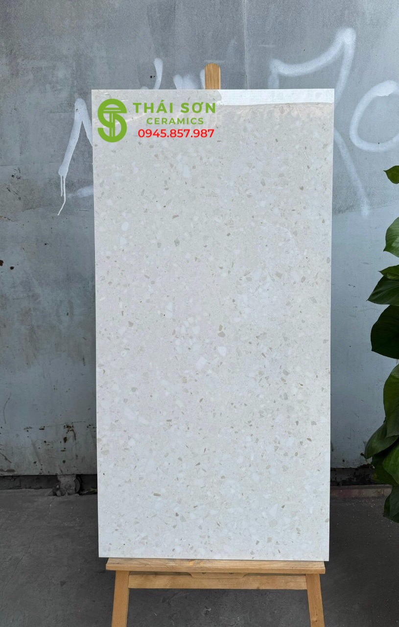 Gạch ốp lát ấn độ 60x120 terrazzo bóng kiếng