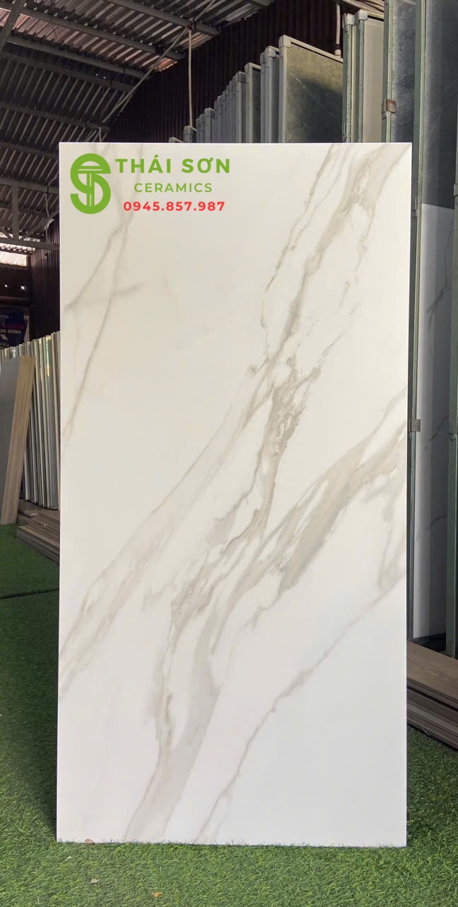 Gạch ấn độ 60x120 lát nền trắng mờ vân đá