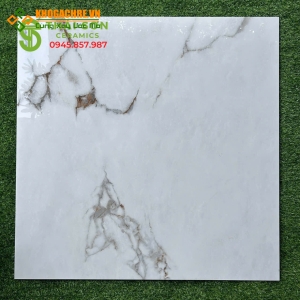 Gạch ấn độ 100x100 bóng kiếng lát nền giá tốt