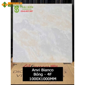 Gạch lát nền ấn độ 100x100 vân đá