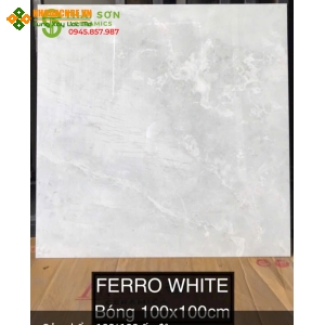 Gạch lát nền ấn độ 100x100 tại Long An