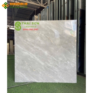 Gạch bóng kiếng tasa 100x100 lát nền màu xám đẹp