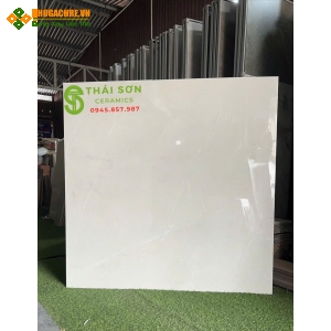 Gạch ấn độ 120x120 lát nền màu xám nhạt bóng kính