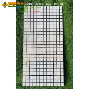 Gạch ốp tường men bóng khắc kim vàng 30x60 cao cấp