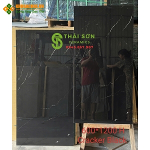 Gạch ấn độ 60x120 bóng kiếng ốp lát màu đen vân trắng