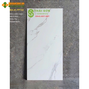 Gạch apodio siêu bóng 60x120 lát nền màu trắng vân
