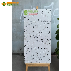 Gạch ốp lát matt mờ terrazzo 60x120 ấn độ