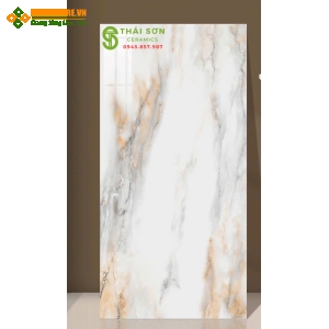 Gạch bóng kiếng ấn độ 60x120 lát nền cao cấp Bình Phước