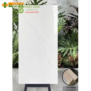 Gạch vicenza 60x120 bóng kiếng lát nền trắng vân mây