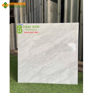 Gạch cmc 60x60 bóng kiếng xám xanh lát nền trung cư