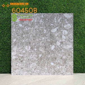 Gạch lát nền terrazzo 60x60 mới nhất