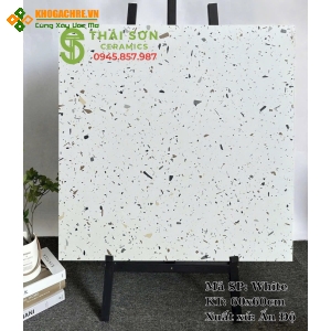 Gạch terrazzo ốp tường nhà tắm 60x60 matt mờ