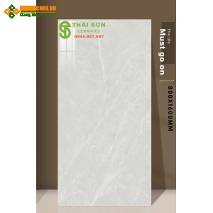 Gạch ấn độ 80x160 lát nền màu xám bóng kiếng 