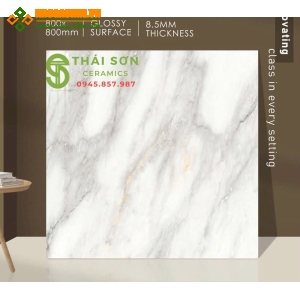 Gạch ấn độ 80x80 bóng kiếng lát nền cao cấp Tây Ninh