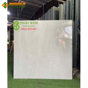 Gạch ấn độ 120x120 lát nền biệt thự bóng kiếng