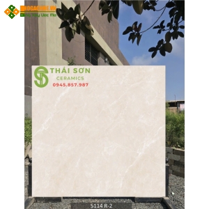 Gạch ấn độ vân vàng kem 120x120