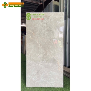 Gạch 60x120 ấn độ bóng kiếng vân đá lát nền nhà phố