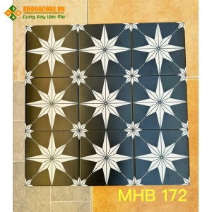 Gạch bông đen ngôi sao 20x20 trung quốc