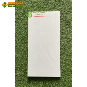 Gạch ốp phòng khách bóng kiếng 30x60 vân xám