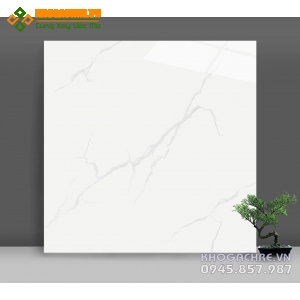 Gạch lát nền trắng bóng 80×80 catalan giá rẻ