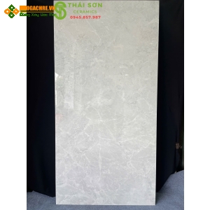 Gạch 80x160 bóng kiếng ấn độ màu xám ghi nhạt