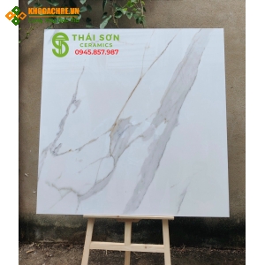 Gạch lót sàn ấn độ 120x120 bóng kiếng