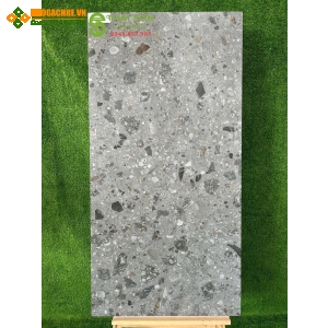 Gạch lát nền terrazzo 60x120 ấn độ 