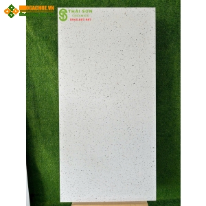 Gạch terrazzo lát nền ấn độ 60x120 bề mặt mờ