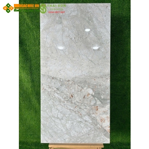 Gạch 60x120 ấn độ lát nền xám bóng kiếng giá tốt