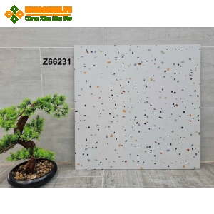 Gạch terrazzo trung quốc 60x60 ốp tường đẹp