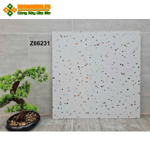 Gạch terrazzo lát nền 60x60 trung quốc giá bao nhiêu