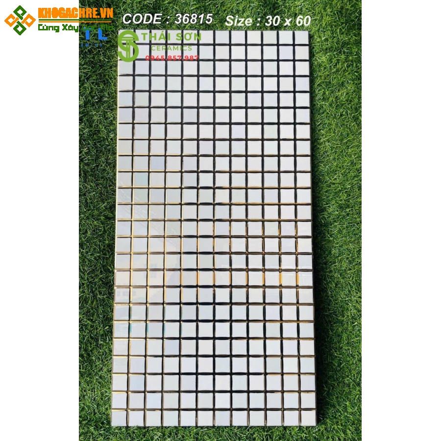 Gạch ốp tường men bóng khắc kim vàng 30x60 cao cấp