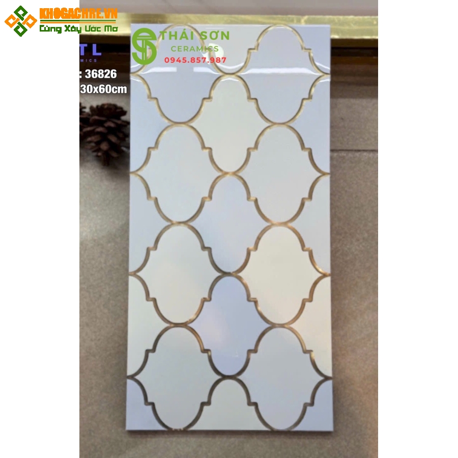 Gạch ốp trang trí men bóng 30x60 trung quốc 