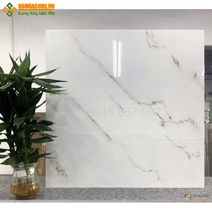 Gạch lót nền 80×80 catalan vân trắng mạ vàng