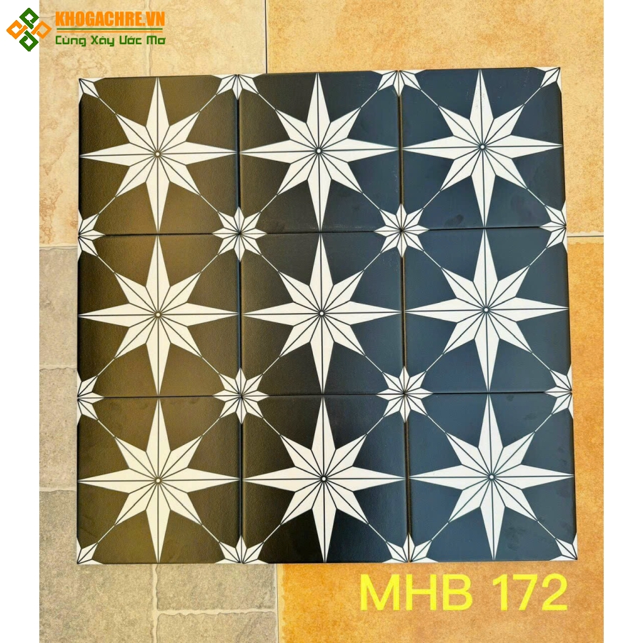Gạch bông đen ngôi sao 20x20 trung quốc